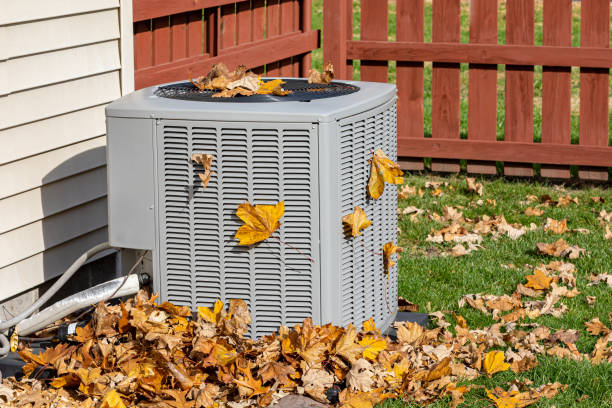 Best HVAC Maintenance Near Me  in Ovid, MI